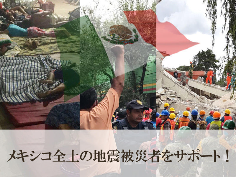 【GD17】2017年メキシコ地震被災者支援（チアパス、オアハカ、メキシコ中部）